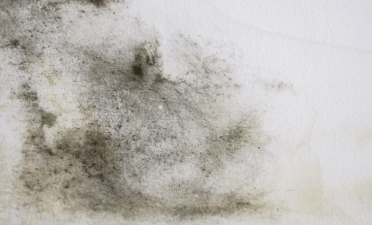 Schimmelvorming op plafond close-up